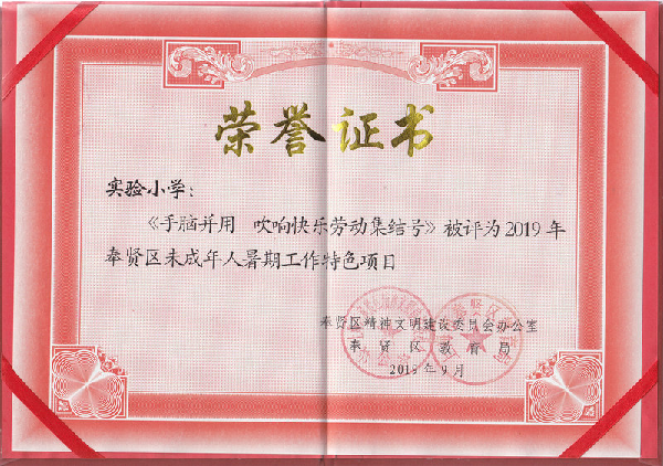荣获2019年奉贤区未成年人暑期工作特色项目